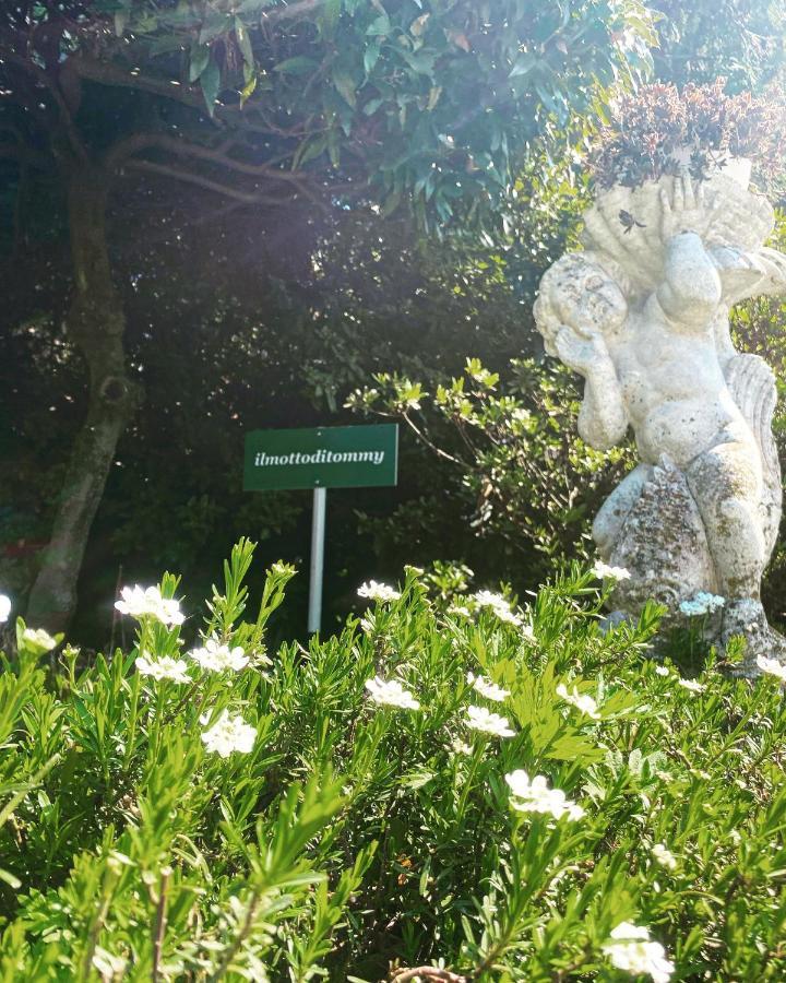 Il Motto Di Tommy Bed & Breakfast Castelveccana Luaran gambar